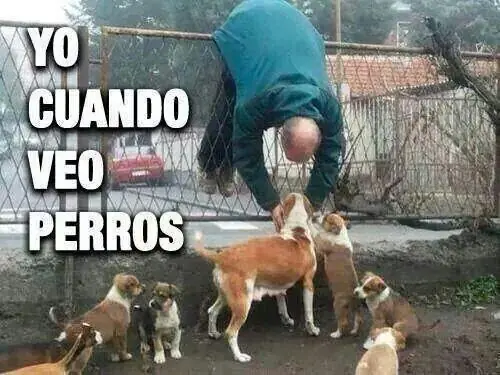 Martes de imágenes WTF con el toque de humor divertido +6
