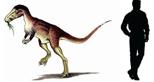 Dinosaurios con la letra A (megapost)