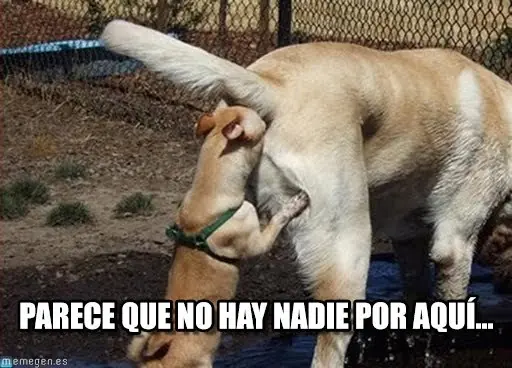 risas