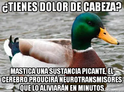 109 Consejos del Pato Consejero que te pueden servir