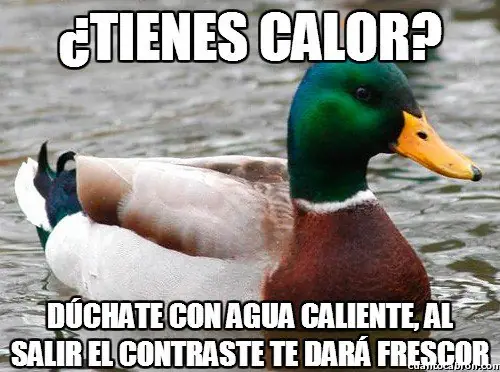 humor