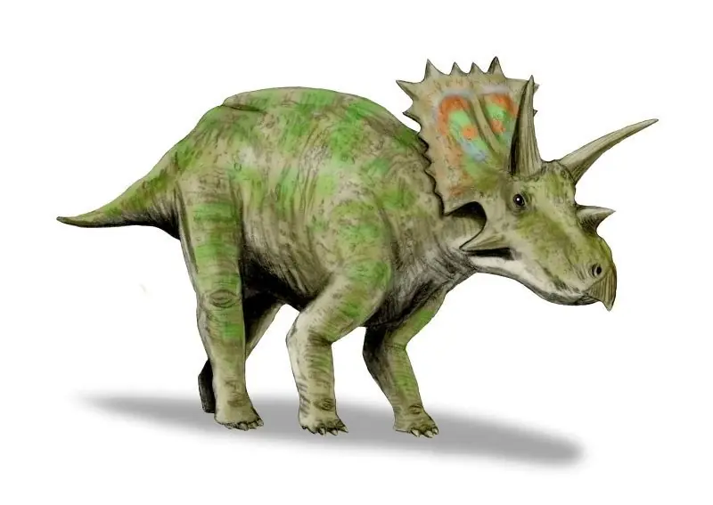 Dinosaurios