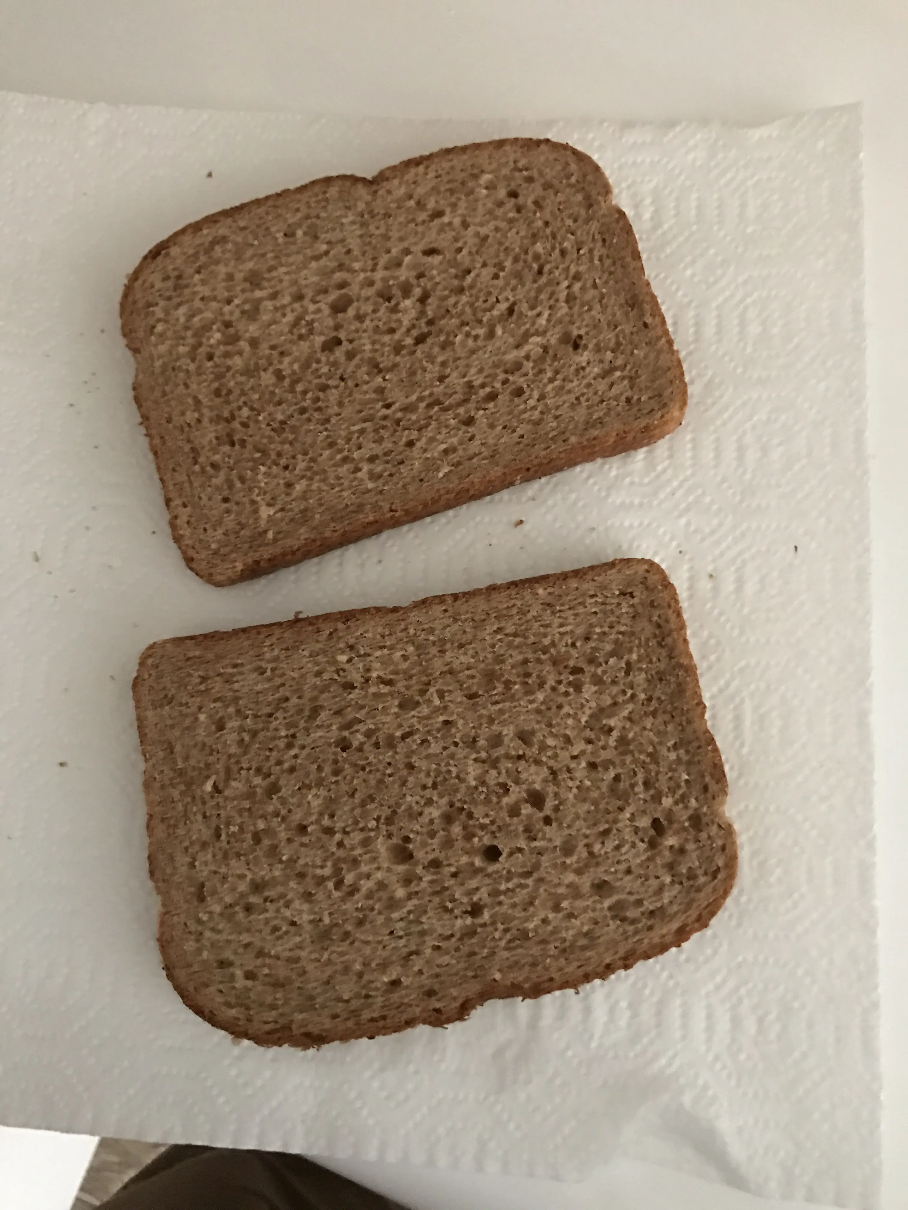Me hice un Sandwich y te lo muestro