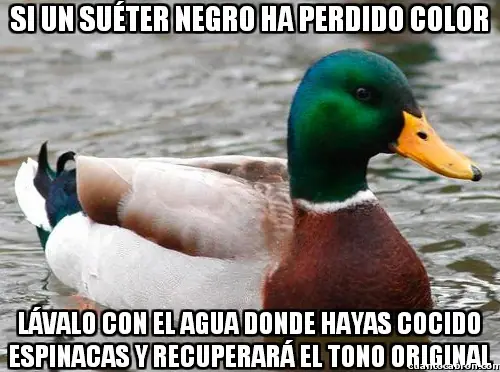 meme