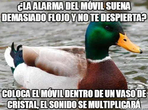 meme