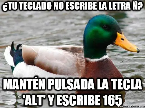 meme