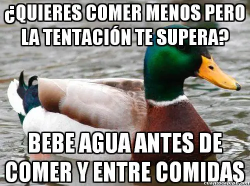 consejo