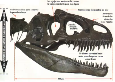 Mesozoico