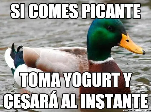 109 Consejos del Pato Consejero que te pueden servir