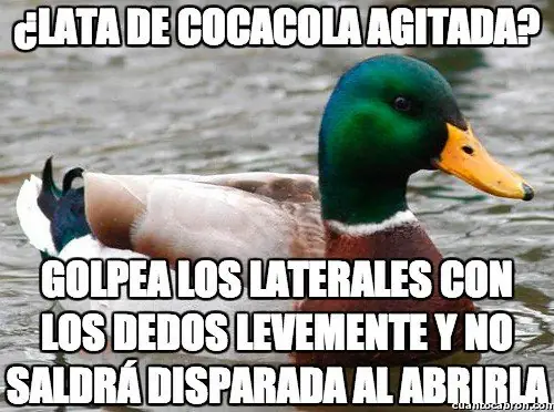meme
