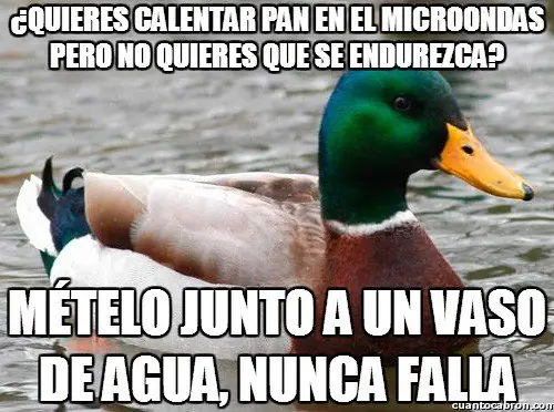 consejo