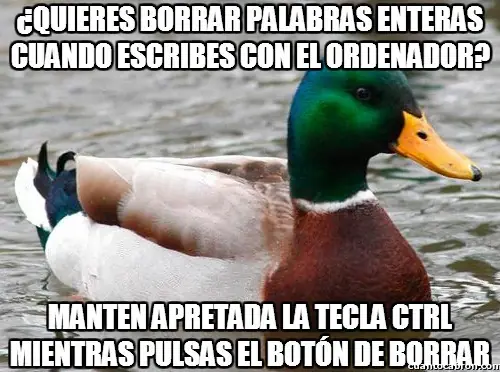 consejo