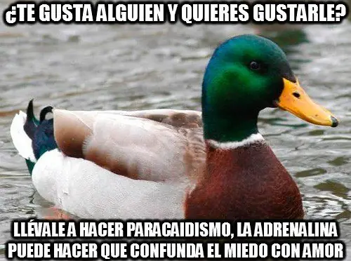 consejo