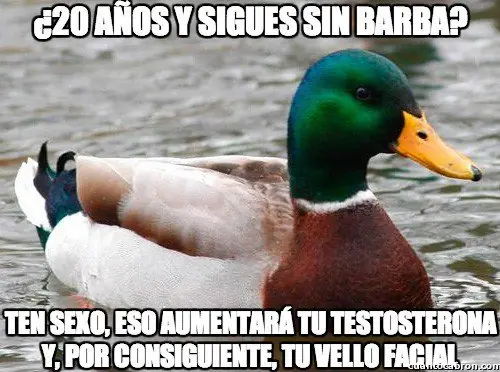 pato consejero