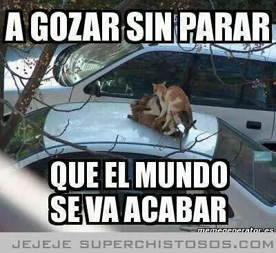 sonrisa