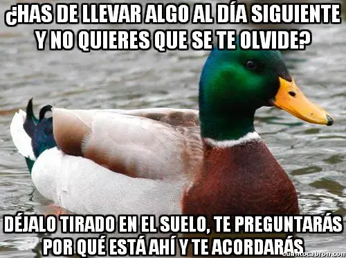 109 Consejos del Pato Consejero que te pueden servir