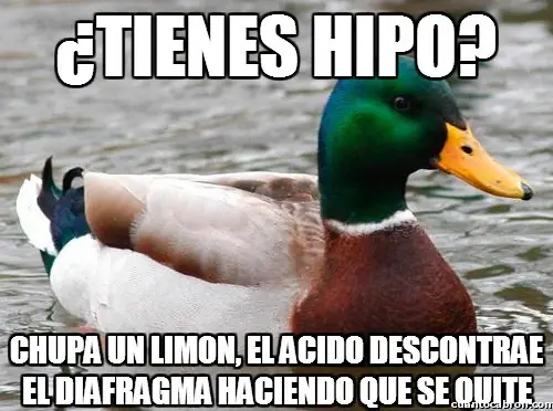 consejo