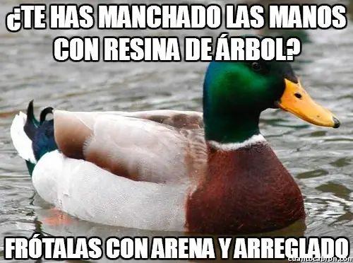 consejo