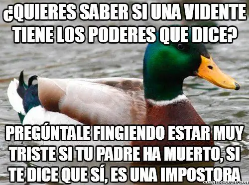 109 Consejos del Pato Consejero que te pueden servir