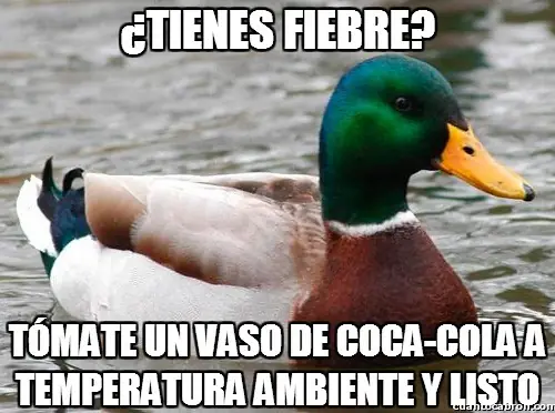 pato consejero
