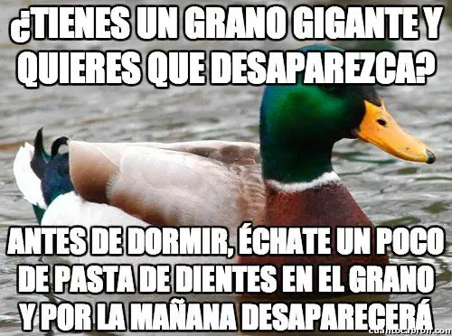 consejo