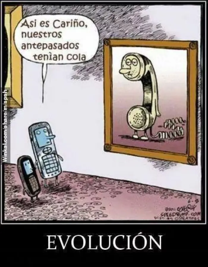 Humor
