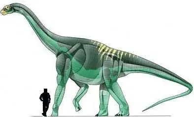 Dinosaurios con la letra A (megapost)