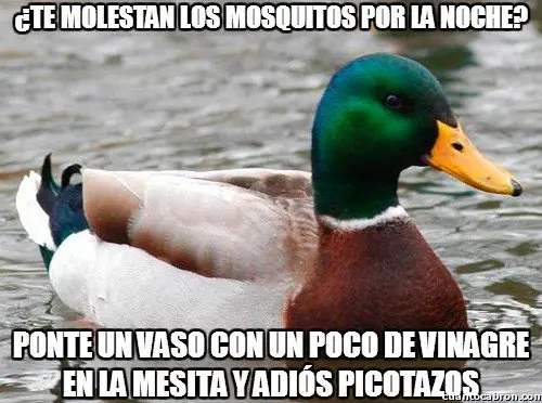 humor