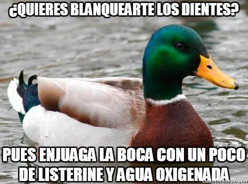 consejo