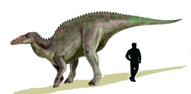 Dinosaurios con la letra A (megapost)