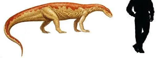 Mesozoico