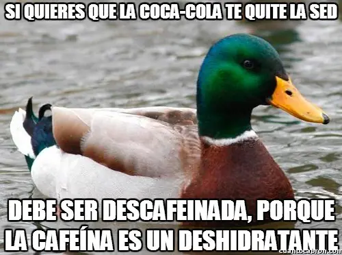 consejo