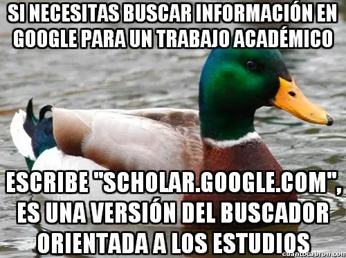 109 Consejos del Pato Consejero que te pueden servir