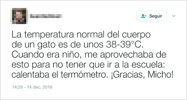 humor