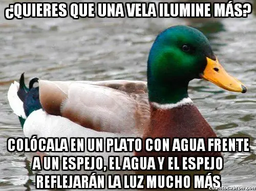 pato consejero