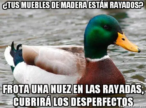 consejo