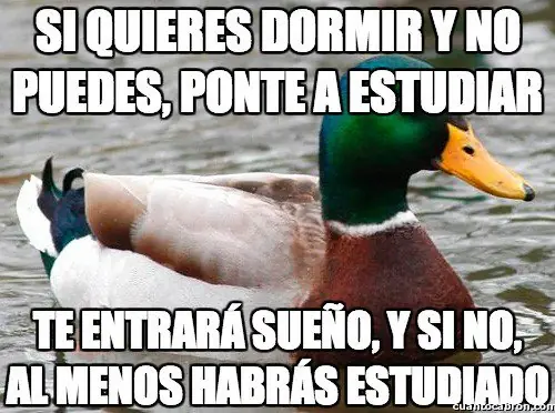 meme