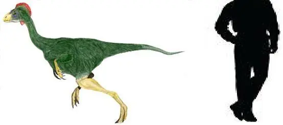 Dinosaurios con la letra A (megapost)