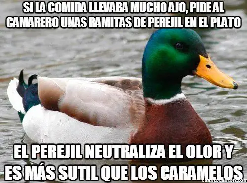 imagenes