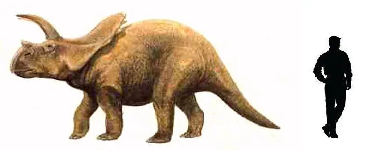 Dinosaurios