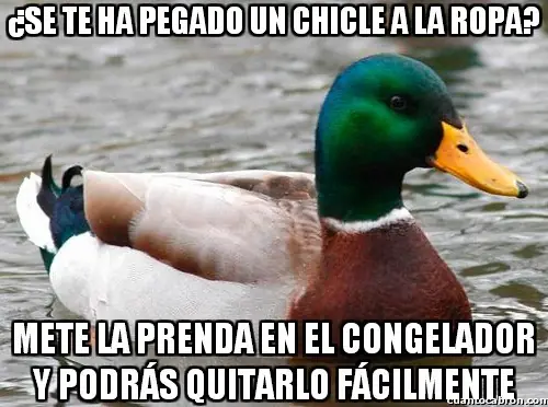 pato consejero