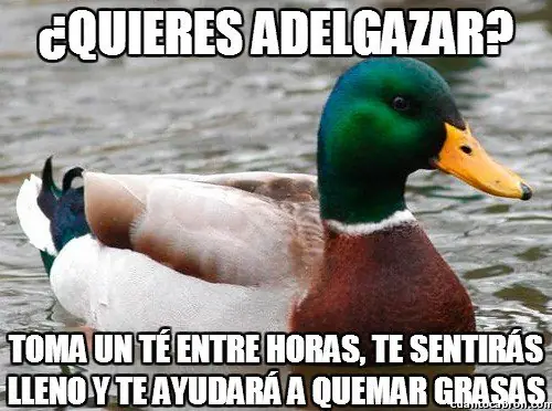 109 Consejos del Pato Consejero que te pueden servir