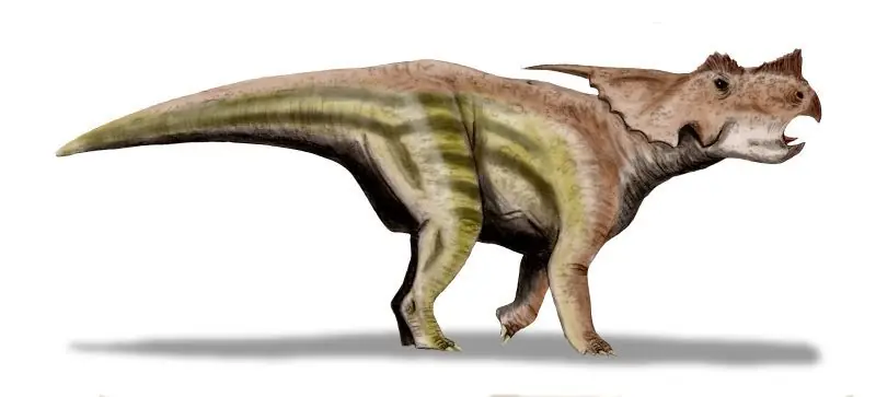 Dinosaurios