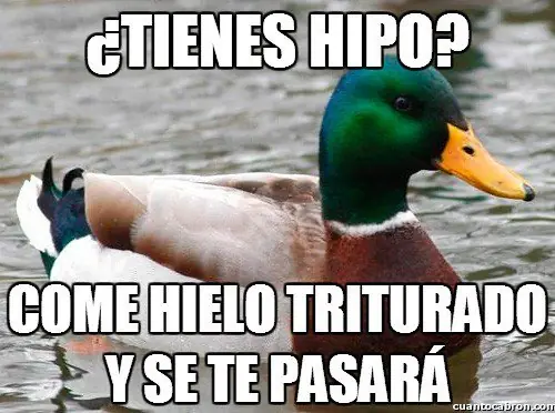 pato consejero