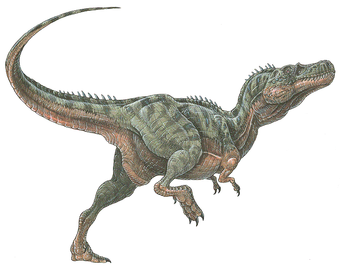 reptil