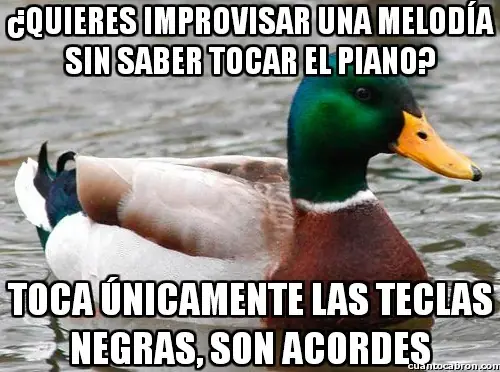 109 Consejos del Pato Consejero que te pueden servir