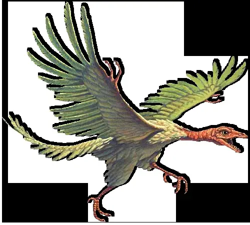 Dinosaurios con la letra A (megapost)