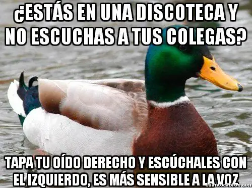 pato consejero