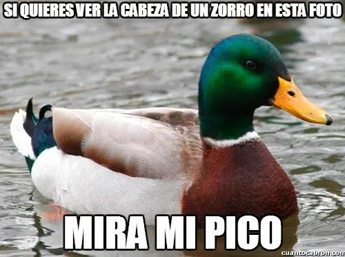 109 Consejos del Pato Consejero que te pueden servir
