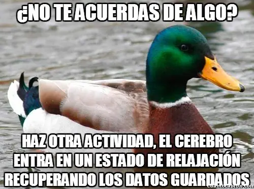 pato consejero
